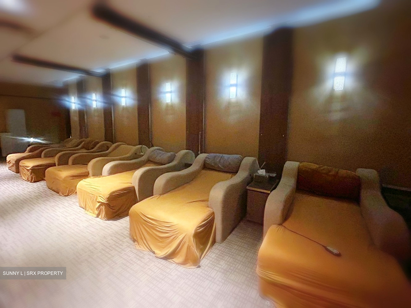 Furama Riverfront (D3), Shop House #606396421